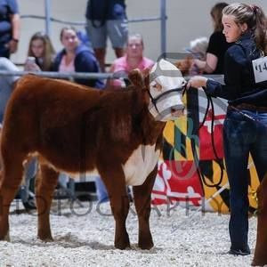 Meet your Posher, Abbie